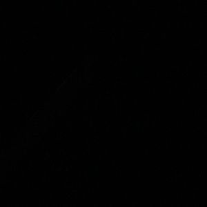 Meet your Posher, Toni